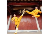 黑龙江少林寺文武学校告诉你练武术的价值在哪里