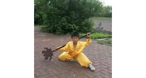 沈阳几岁孩子学武术比较合适？看武术学校招生年龄就知道！