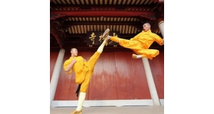 沈阳黑龙江少林寺文武学校告诉你练武术的价值在哪里