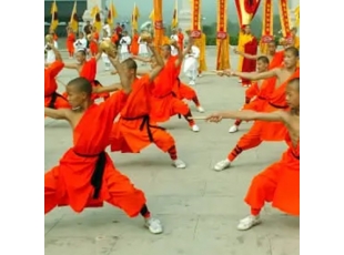 沈阳哈尔滨武校地址