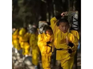 沈阳哈尔滨武校学费