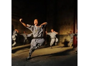 沈阳哈尔滨武校哪家好