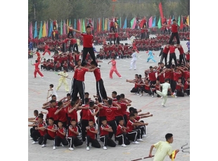 沈阳哈尔滨武术学校哪家好